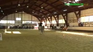 Фестиваль «Золотая осень» в 9 раз прошел в Котельниках