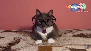 Канал карусель представляет играть осень 2019-й ￼￼