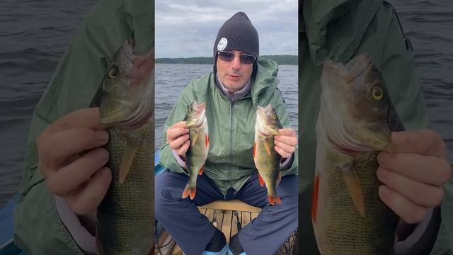 Рыбалка на озере Селигер, Окуни на Спиннинг. Дом Рыбака Заречье 33. Август 21 число 2021г. смотреть онлайн