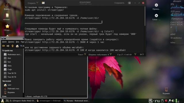 Советы зрителей 04. Streamripper смотреть онлайн