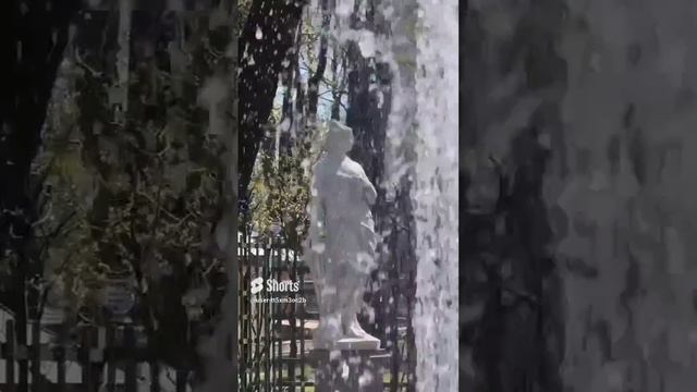 Бесплатный Петербург в Телеграм переходите: https://t.me/spbfree24 смотреть онлайн