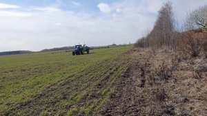 Ввод залежных земель в сельхозоборот, оз. рожь, начало!