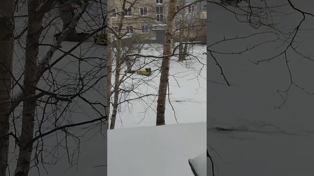 На рыбалку,тест мотобуксировщика,первый выезд #automobile #scooter #мотовездеход #motorcycle #скаут смотреть онлайн