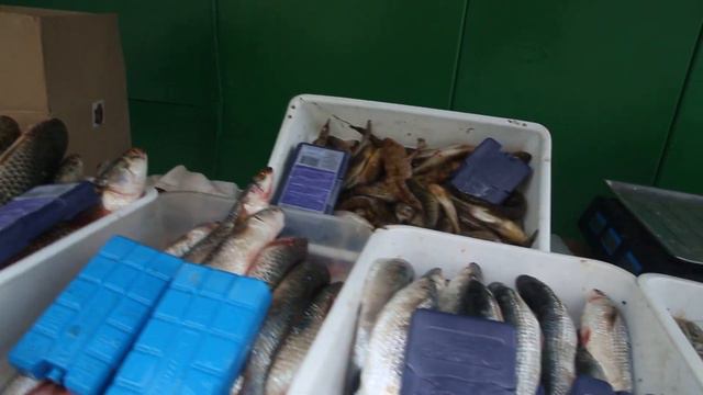 Геническ - город рыбный. Цены на рыбу смотреть онлайн