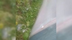 Усиление ремонт металлического каркаса теплицы