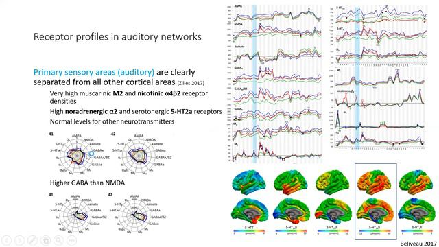 Episode #6: Part 1/2: "Medication for tinnitus disorder: Sisyphus or Tantalus" - Dirk De Ridder смотреть онлайн