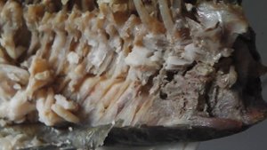 Селигер 2014. Осташков. НЕ ПОКУПАЙТЕ РЫБУ! Местные рыбаки паскуды!