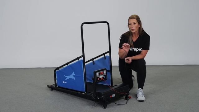 How to use your Pawrunner Dog Treadmill for small dogs смотреть онлайн