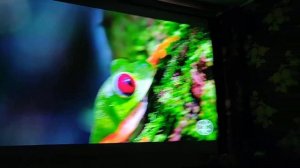 Xgimi RS PRO 4k и телевизор 75" на квантовых точках. Экран ширина 2,5 м.
