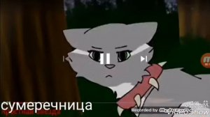 Коты воители.Песня Ego/сумеречница коты воители