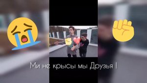 Мы не крысы мы Друзья ! А4