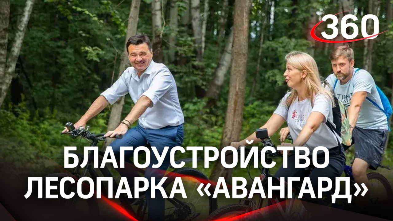 Спортивная зона и экопарковка: как в Электростали благоустроили лесопарк «Авангард»