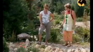 Сад на песке  Ландшафтные хитрости 15