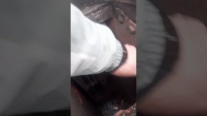 Draxter.Щепорез утилизатор ЩУ 650.  Доработка и усовершенствование.  Недостатки и преимущества.