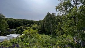 Дача Нечаевка