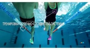 ЛАСТЫ КОРОТКИЕ ДЛЯ ПЛАВАНИЯ CINA NABAIJI