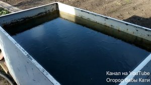 Срочно спасаем рассаду томатов, идут ночные заморозки. Замерзли ли томаты в неотапливаемой теплице?