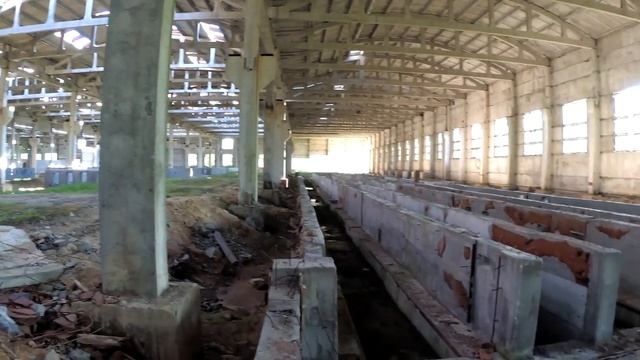 ЗАТО Озёрск. Атомная электростанция БН-800 и прогулка по территории АЭС | ЗАТО Озёрск