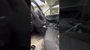 Шкода рапид на чип тюнинг евро 2 +спорт