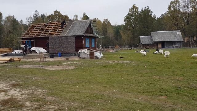 Замена крыши в старом доме . Что уже удалось сделать за два дня работы ? смотреть онлайн