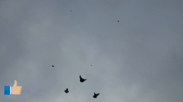 Приятное с полезным........