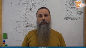 # 281 часть 2 - КАК УСТРОЕНА НАША МАТРИЦА - версия от Алексея Орлова