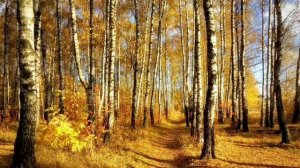 "Отговорила роща золотая…" читает Гармаева Жанна Зориктуевна