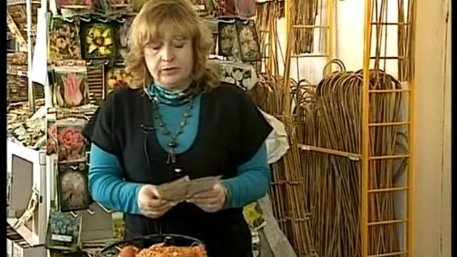 Лук. Способы выращивания лука. Стимуляторы роста.