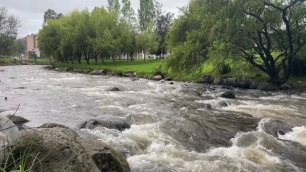 Медитативное видео: горная река в Куэнке, Эквадор