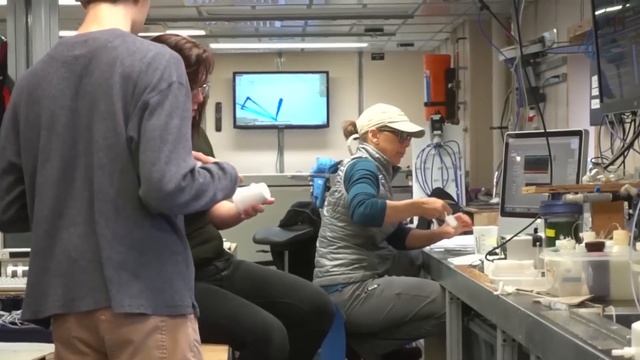 Они СКРЫВАЮТ это... Открытие которое может изменить историю! смотреть онлайн