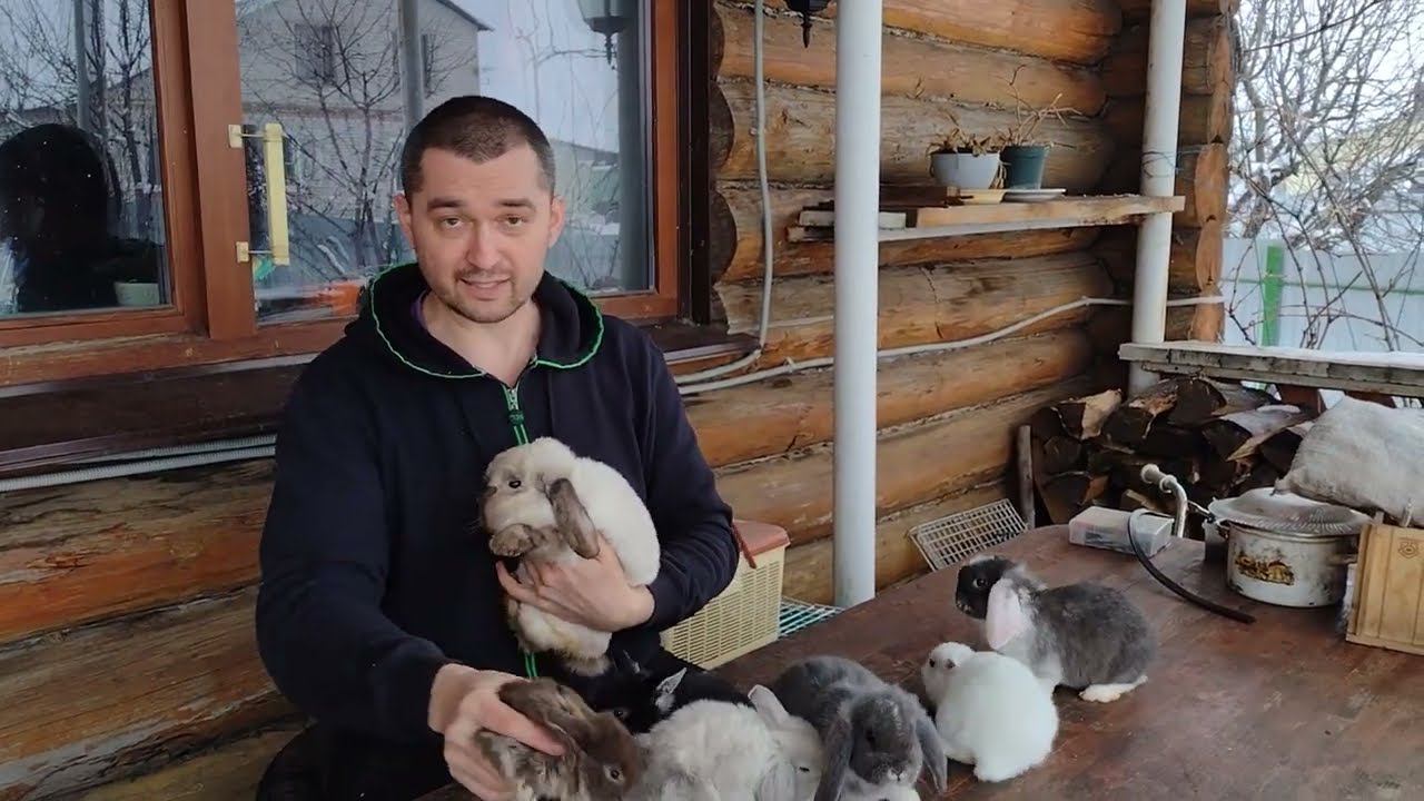 Такие маленькие декоративные крольчата