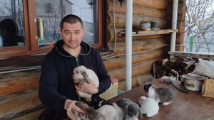 Такие маленькие декоративные крольчата