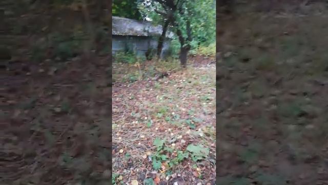 18 сентября 2022, как сейчас выглядит наш деревенский дом смотреть онлайн