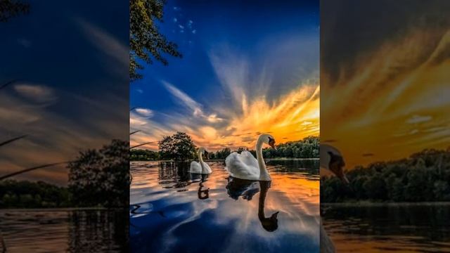 СПОКОЙНОЙ НОЧИ. СНОВ ЖЕЛАЮ ВОЛШЕБНЫХ И ЛАСКОВЫХ. Под нежную музыку Карена Саркисяна смотреть онлайн