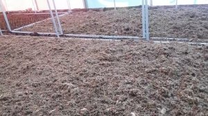 Голубика.мульчер.сфагнум.окончание.