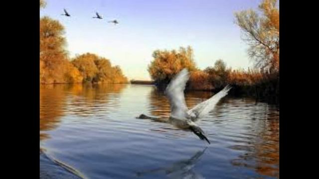 Песни Немцев Поволжья - An der Volga