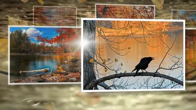 Волшебный мир японской поэзии смотреть онлайн