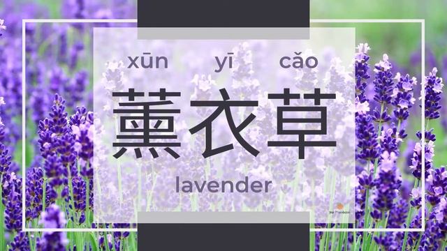 Learn Chinese Radical in 1 minute for Beginners - Flower Names смотреть онлайн