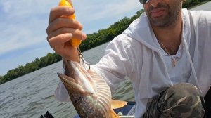 Рыбалка Северский Донец 10 июня 2023