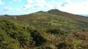 ENGLAND more of Dartmoor National Park (Devon)