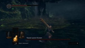 DARK SOULS™: REMASTERED Как отрубить Каламиту хвост