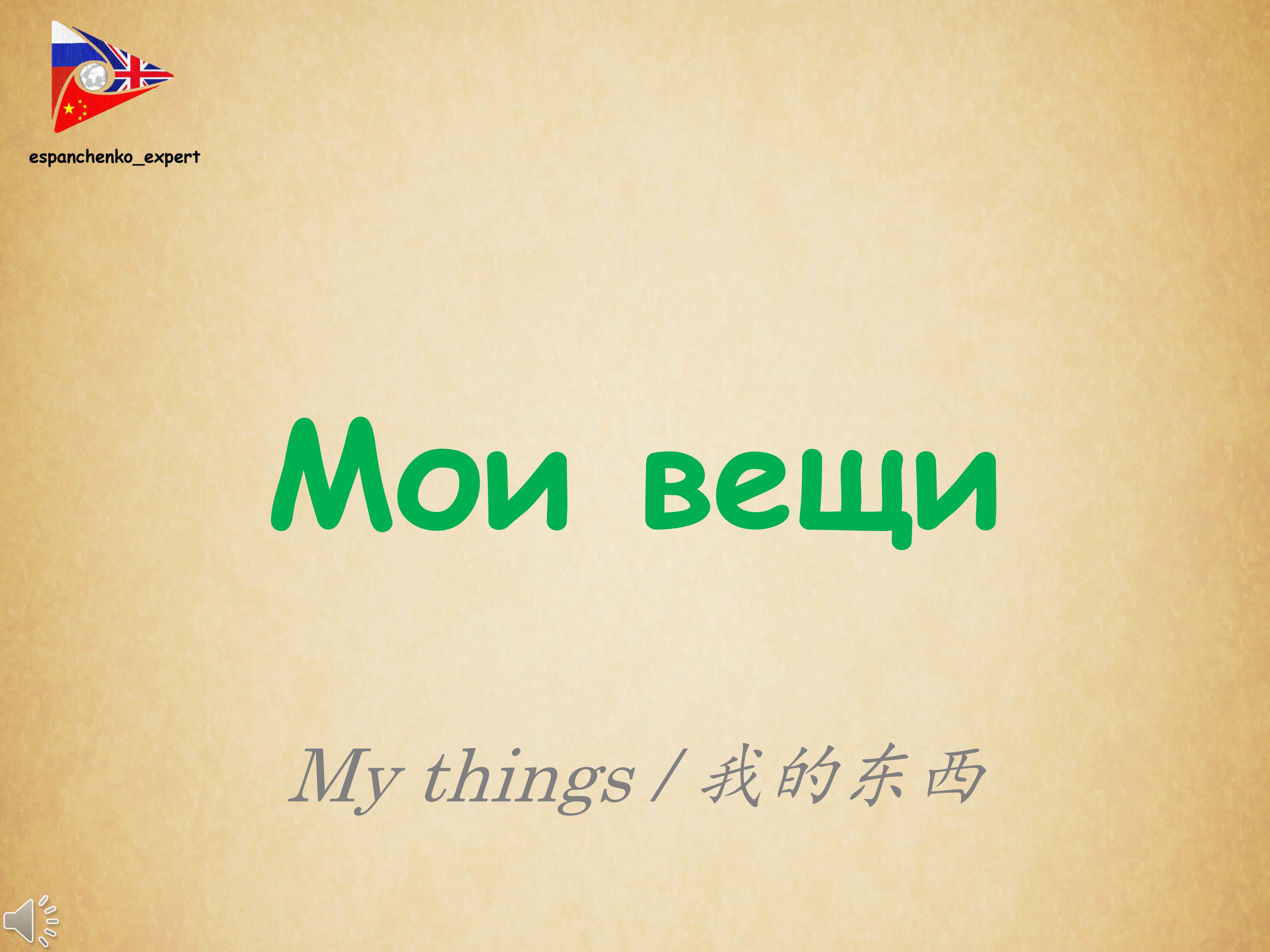Русский язык | РКИ | Мои вещи | Russian | My things | 俄语 | 我的东西