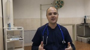 Почему кошка много ест, стала много есть