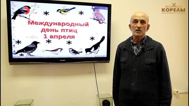 К Международному дню птиц смотреть онлайн