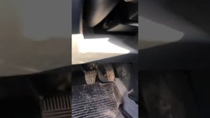 Пропал газ на Нисан Альмера Классик
