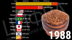 КАКОЕ МЕСТО ЗАНИМАЛА РОССИЯ/СССР В ПРОИЗВОДСТВЕ ГРЕЧКИ (1961-2019) [ИНФОГРАФИКА]