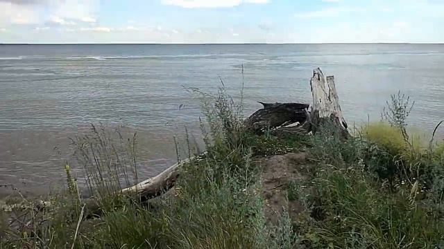 УАЗ Патриот 2019. Встреча с популярными блогерами в Саратовской области. смотреть онлайн