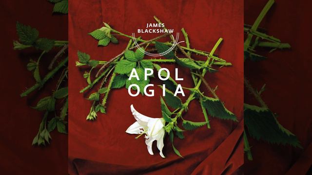 Apologia смотреть онлайн