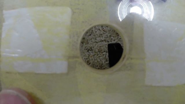 Ibanez Artist Wiring Mod смотреть онлайн