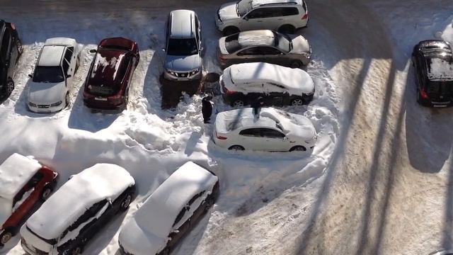 В Сыктывкаре женщина откапывает автомобиль вилами смотреть онлайн